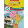 Mentor Social Studies Learners Grade 6